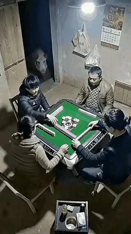 活久见！谁能想到，猪居然会成家里最勤快的那个！这天主人约了牌友打麻将，从白天直接