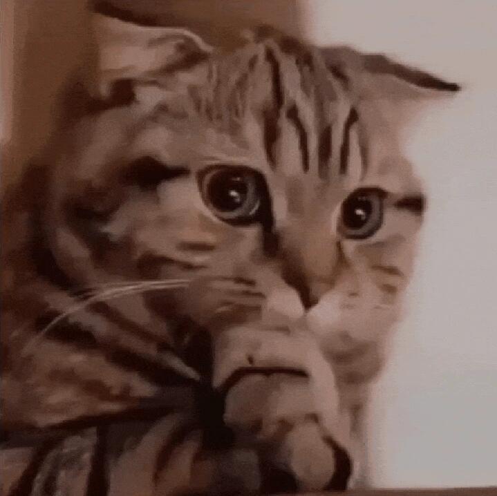 男子放炮摘除眼球称无法面对5个月女儿放烟花真的太危险了，放之前都觉得自己能躲过 