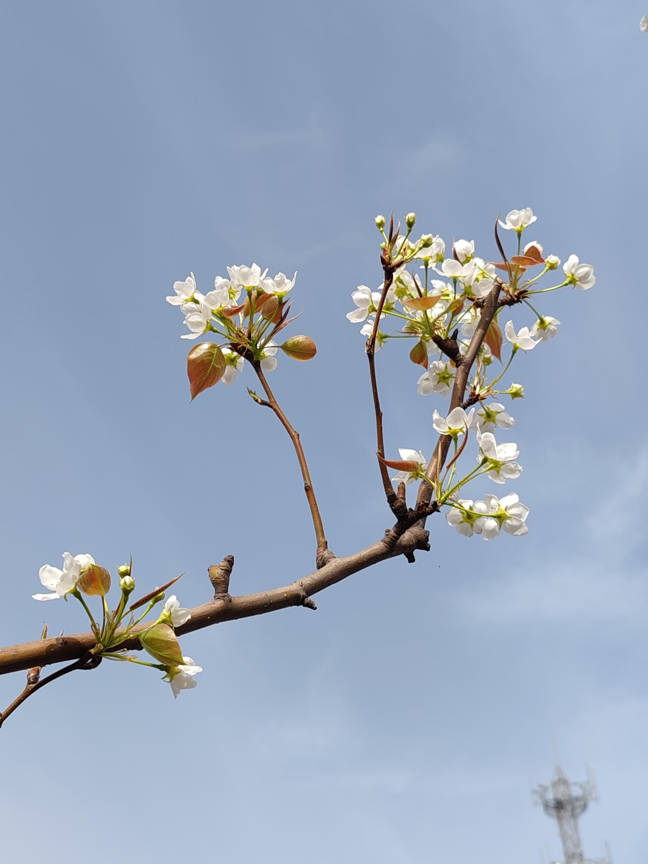 这家人在孩子教育上存在问题。即便家境优渥，也不能不对孩子开展挫折教育，而只是一味