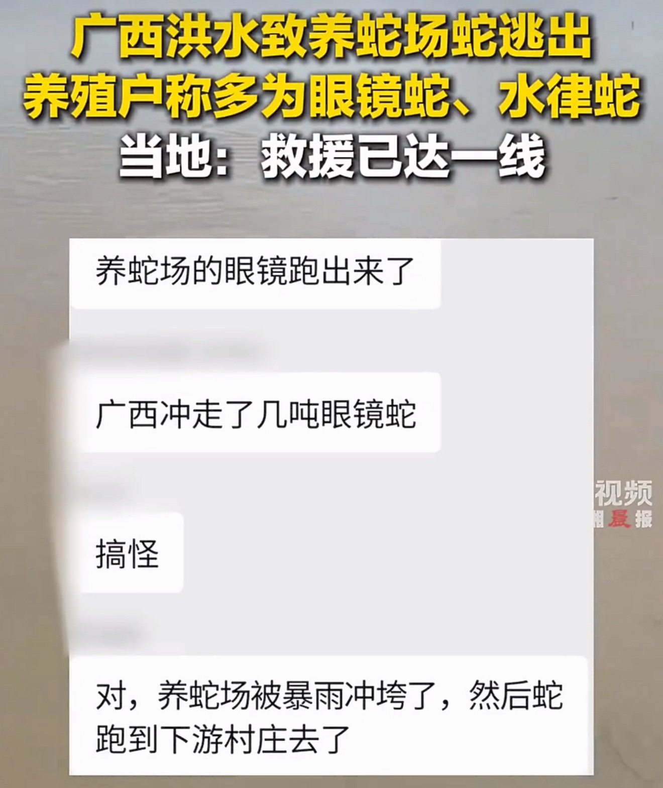 洪水致养蛇场蛇逃出有眼镜蛇天啊太可怕了…广西横州洪水冲毁养蛇场，大量眼镜蛇、水律