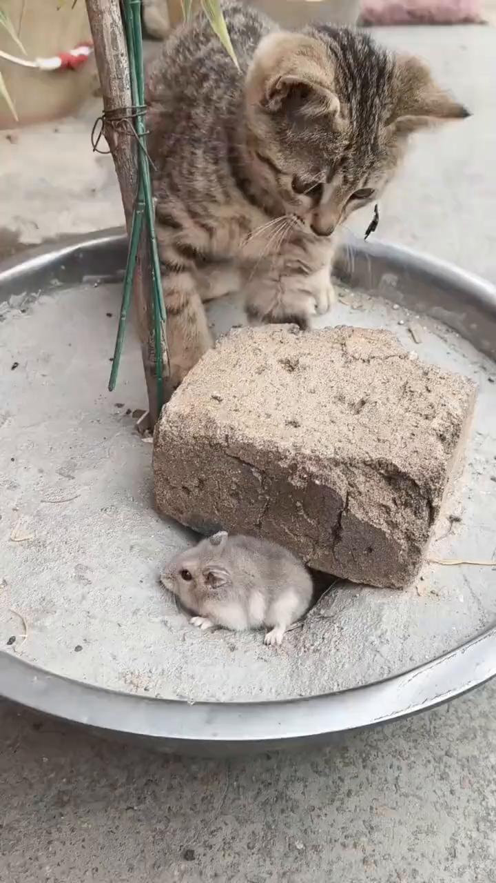 你别笑。