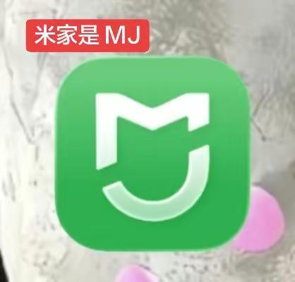 mj 小米