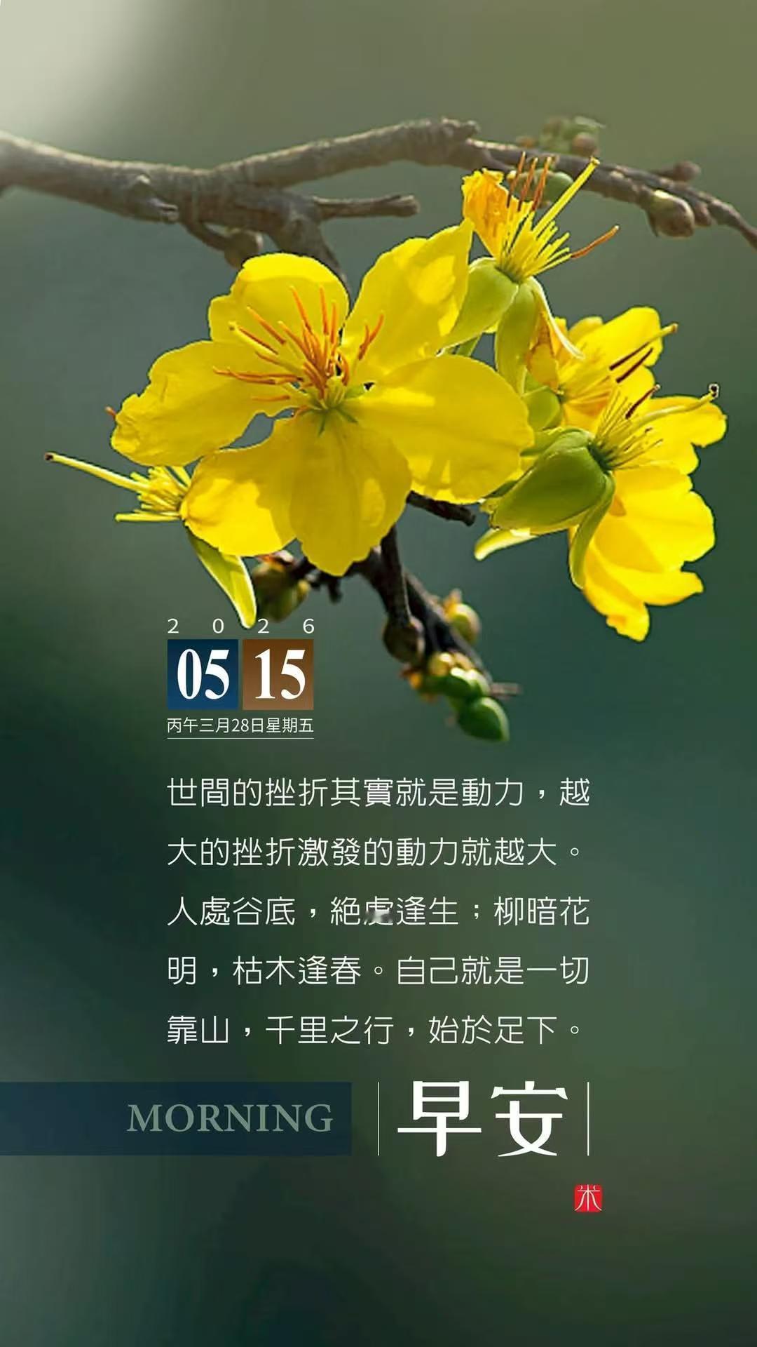 女子让全家常年食用无碘盐 为控制结节刻意回避海带、紫菜等高碘食物，这不说我吗？好