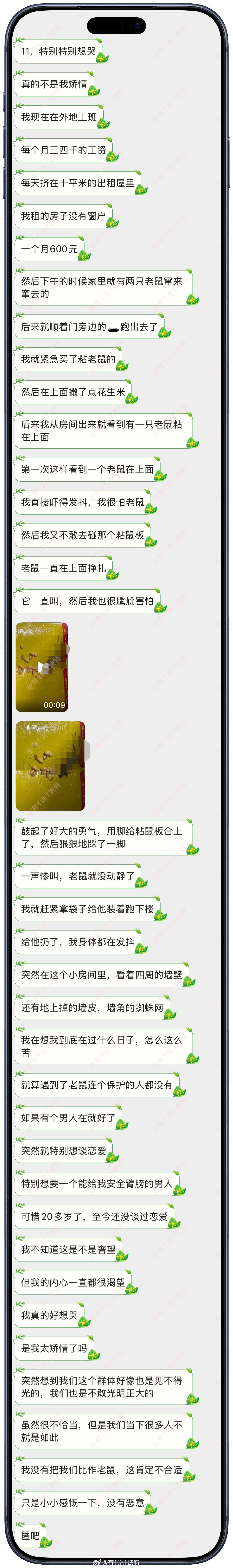 情感树洞 出租屋里的老鼠？？？ 