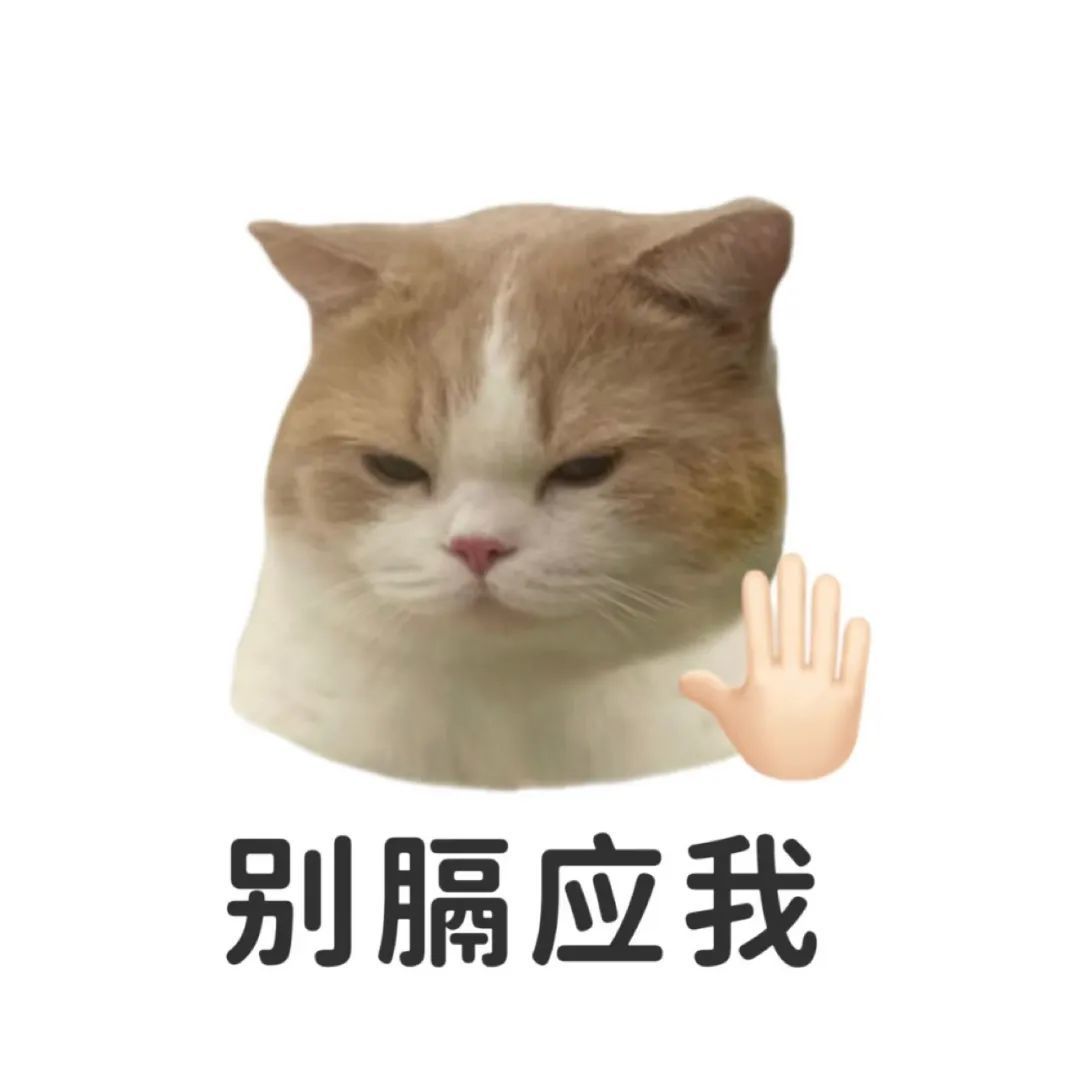 庆祝动作是让俺们拜仁球迷闭嘴呗？清醒一点，这是友谊赛，等你欧冠决赛进了我肯定闭嘴