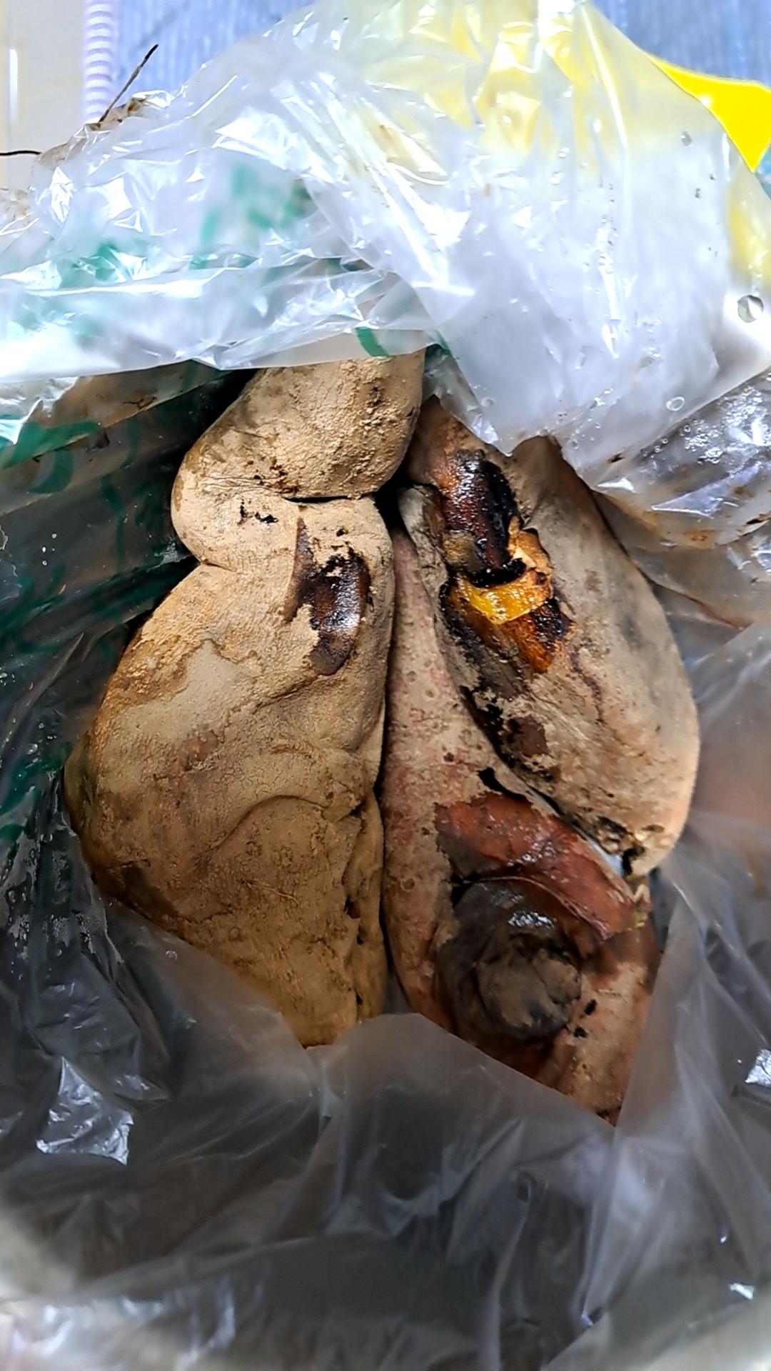 来自父母的爱！