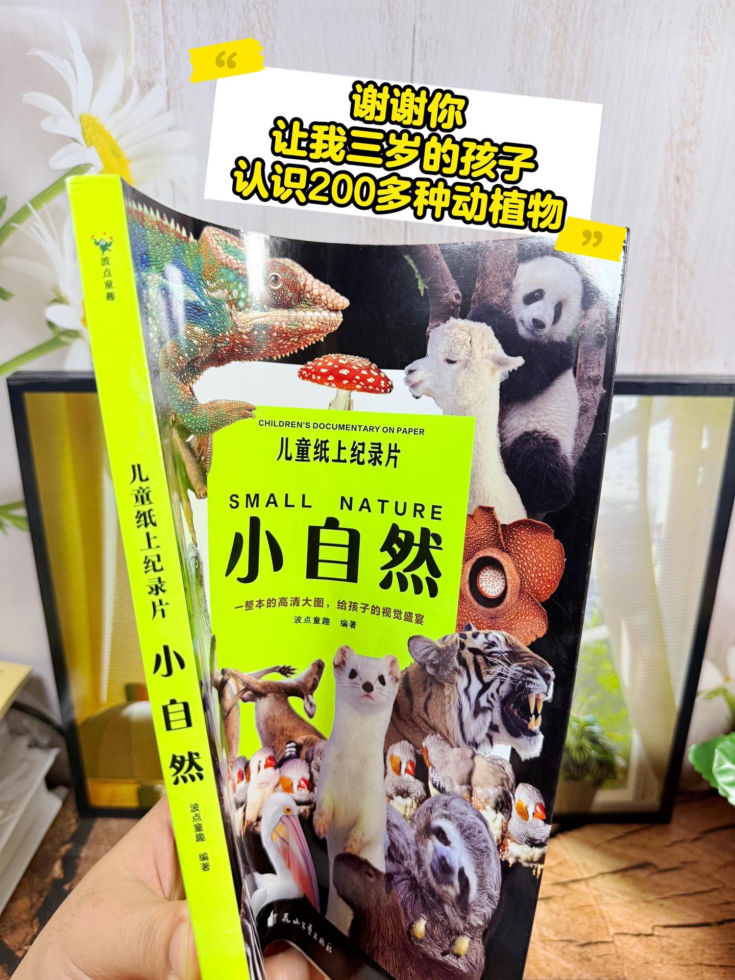 儿童纸上纪录片🔥。谢谢你，让我3岁儿子认识200多种动植物！高清自然...