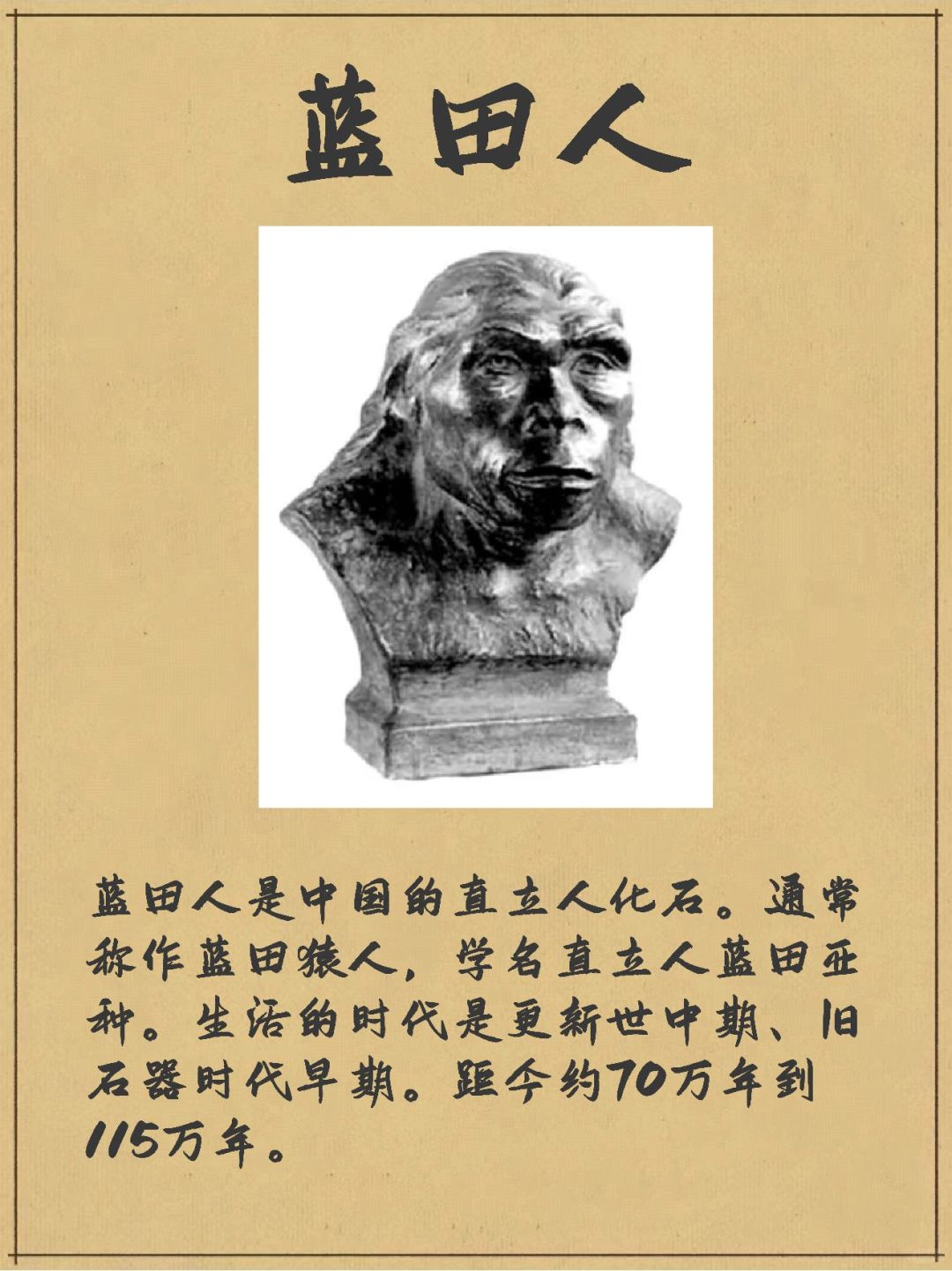 蓝田人