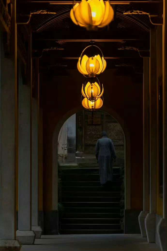 富不丢猪，穷不丢书，三代不读书，一屋都是猪。——曾国藩 ​ ​​​