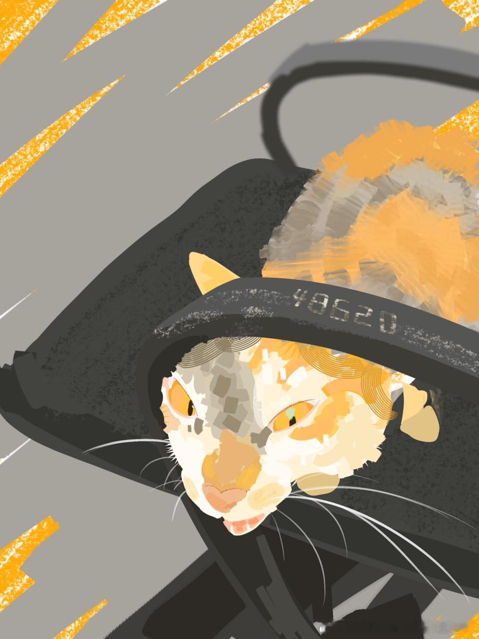 49387【丑猫】百变丑猫！ 丑猫卢浮宫