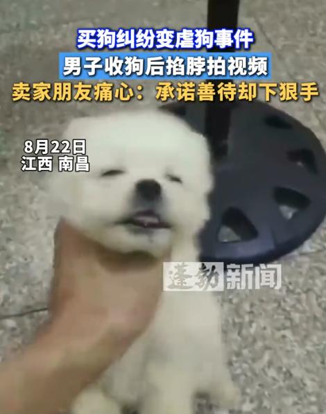“必须严惩！”江西南昌，一女子家里生了几只小狗后，被一位福建的男子看上想要购买，