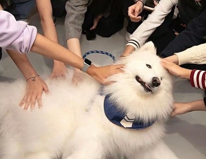 摸我有好运，快来摸我！ 