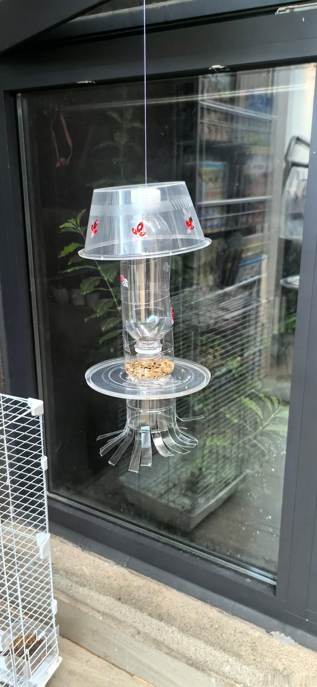 大v聊车 汽场全开 这两年生态向好，小区鸟类越来越多了，随手用矿泉水瓶和外卖盒做