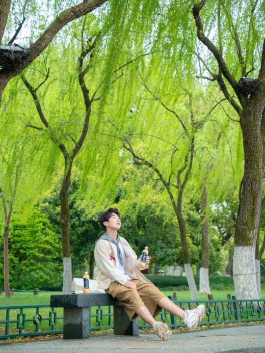 我拍到了语文课本上“拂堤杨柳醉春烟”