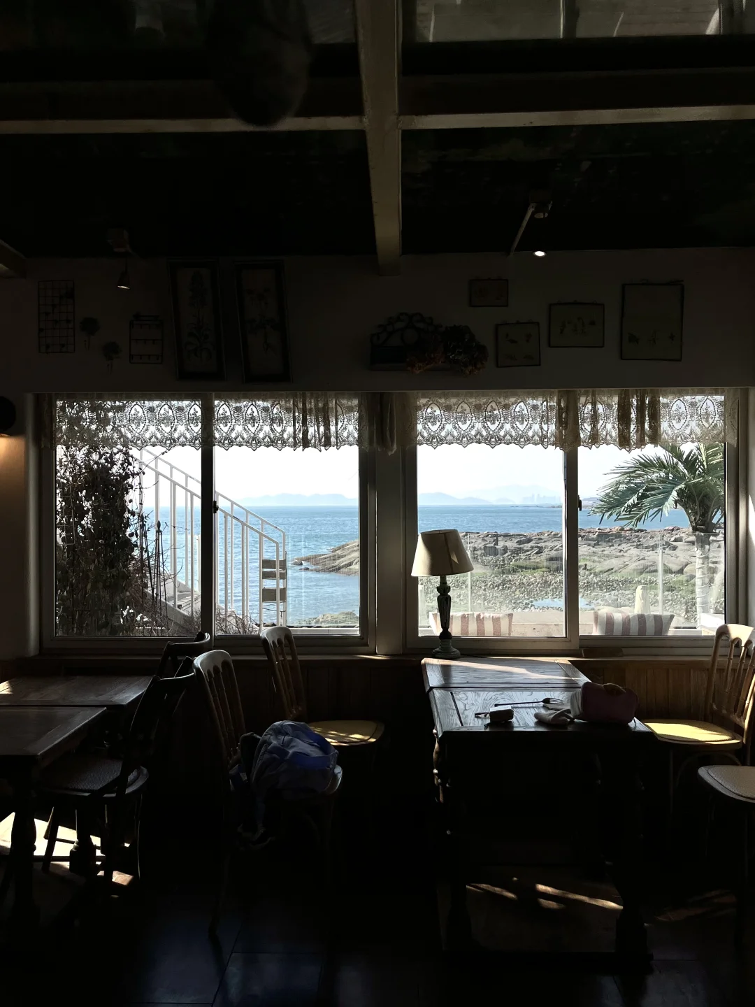 海边城市长大的小孩也会被青岛的海美晕