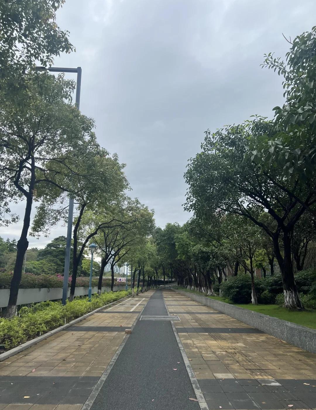 感觉自己年纪大了越来越喜欢这种岁月静好的感觉雨后的新鲜空气