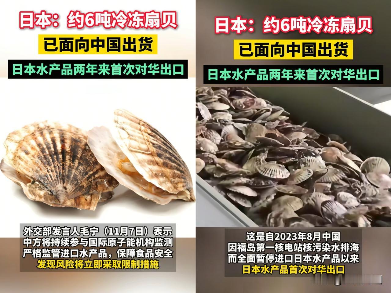 谁开囗让购买的？严查！

还真得好好琢磨琢磨。日本海鲜禁运两年后，首批6吨扇贝又