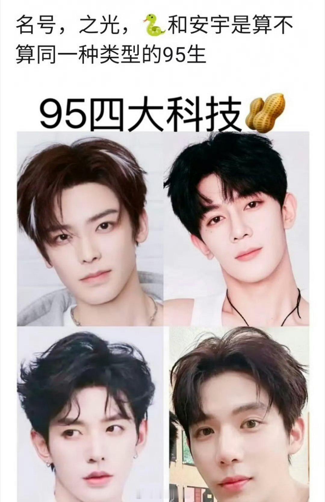 有网友提问侯明昊、夏之光、邓为、王安宇是不是属于同一类型的95生呢？长相都是那一