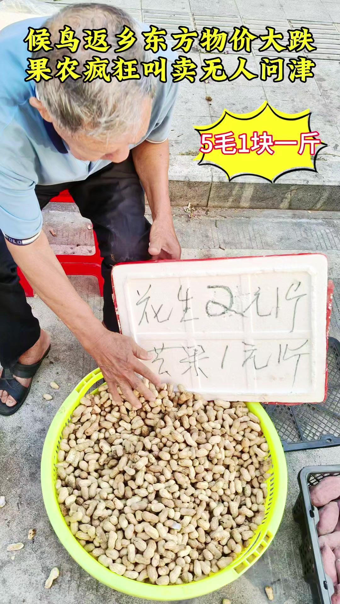 现在的东方太热了，只能一早一晚出门买菜，亲眼见证了菜价有多便宜。

5毛钱一斤的