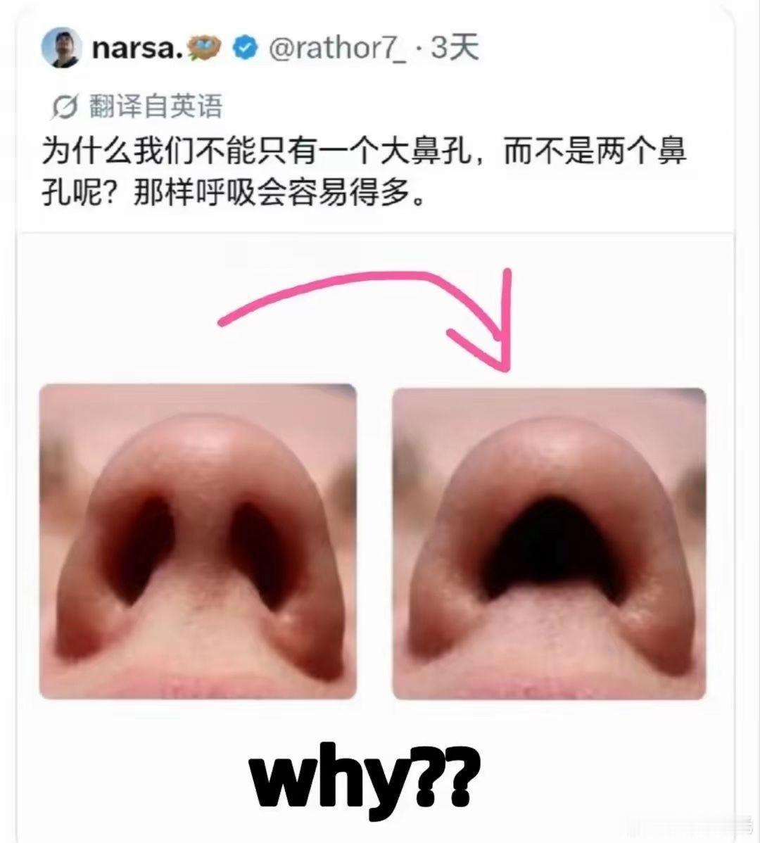 因为上帝知道你想干什么[doge] ​​​