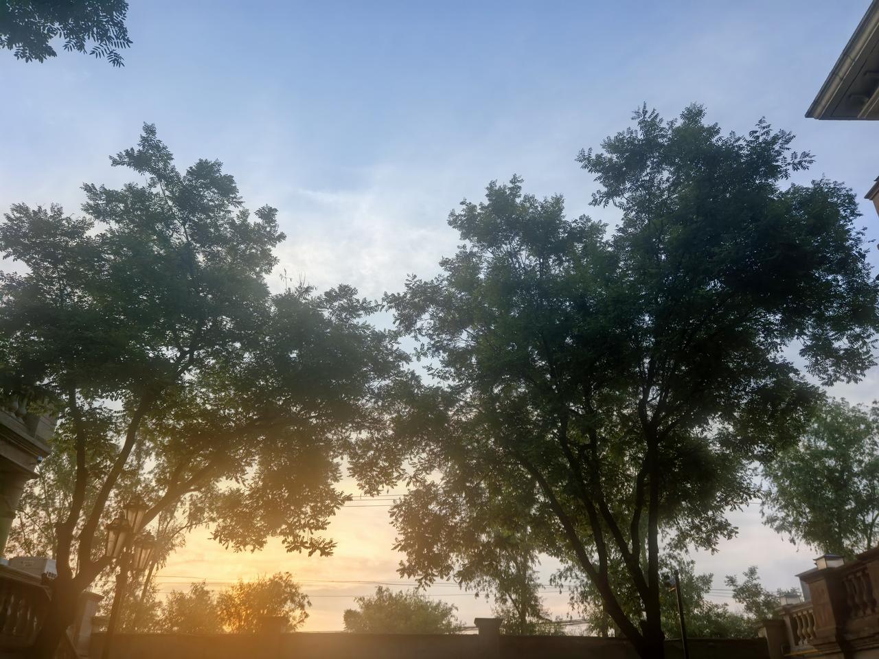 0461.朝朝暮暮，我心依旧。