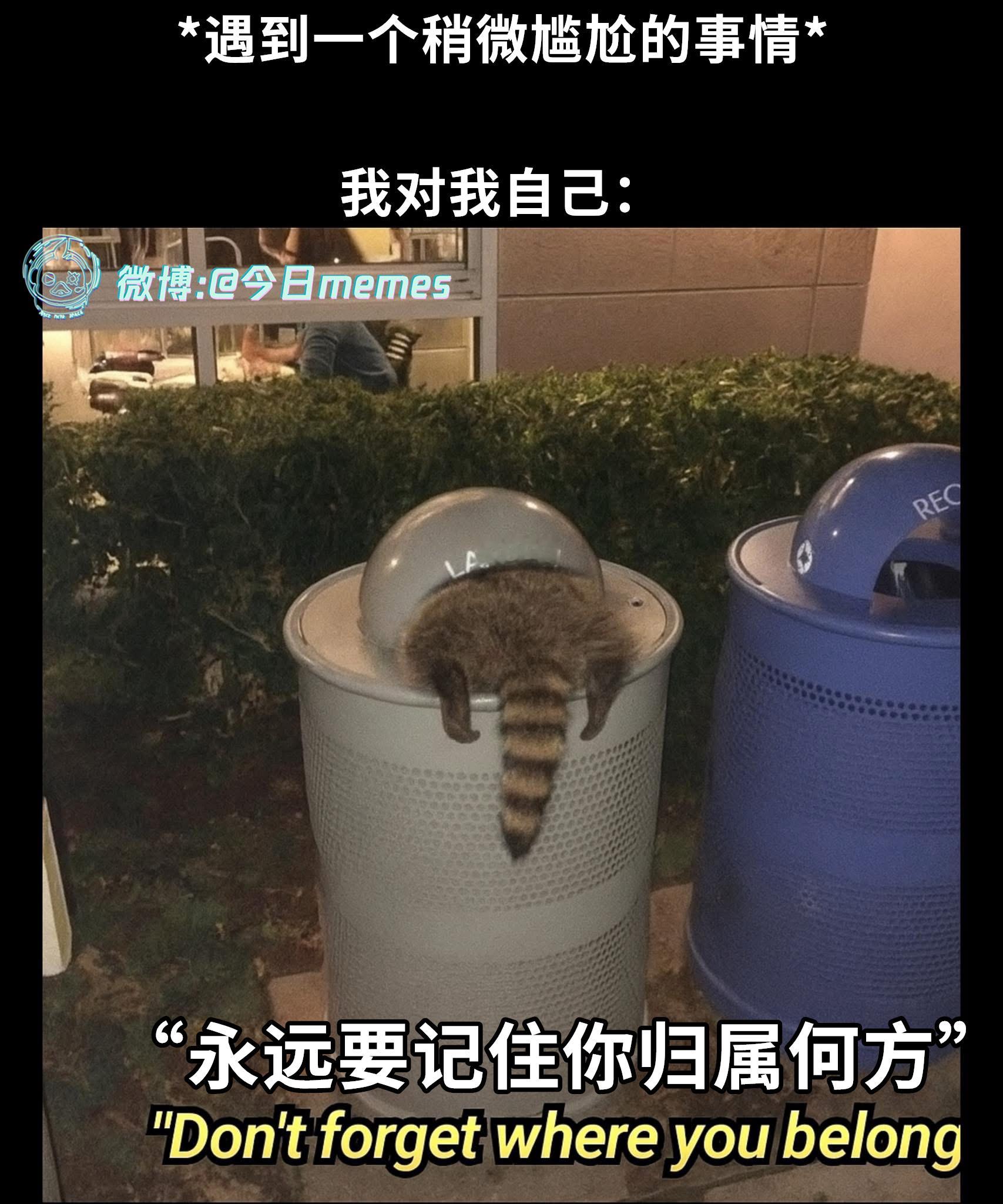 回家吧（9gag）今日meme[超话] 今日memes ​​​