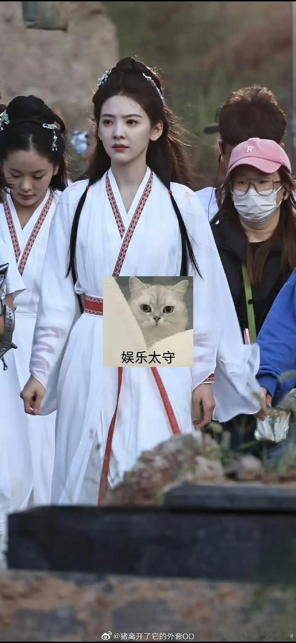 看路透，感觉章若楠的打戏、吊威亚都像临时在现场学的….. ​​​