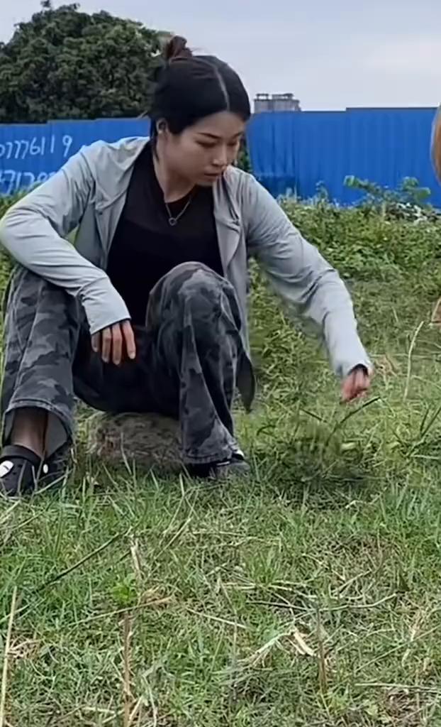 哈哈哈。