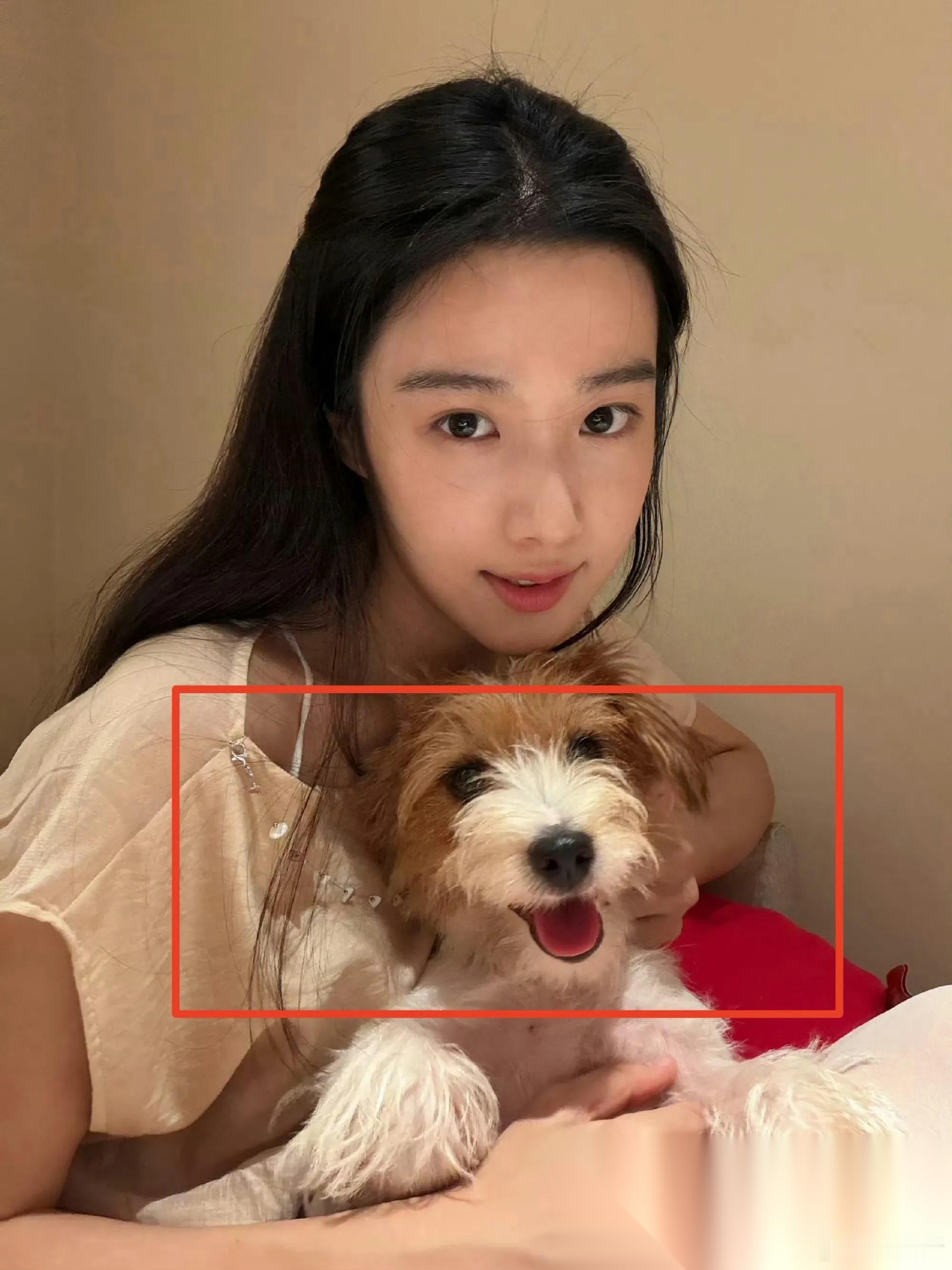 估计连卢昱晓自己也没想到， 小狗巴豆比自己还红！ 卢昱晓被偶遇，尴尬的的是店员和