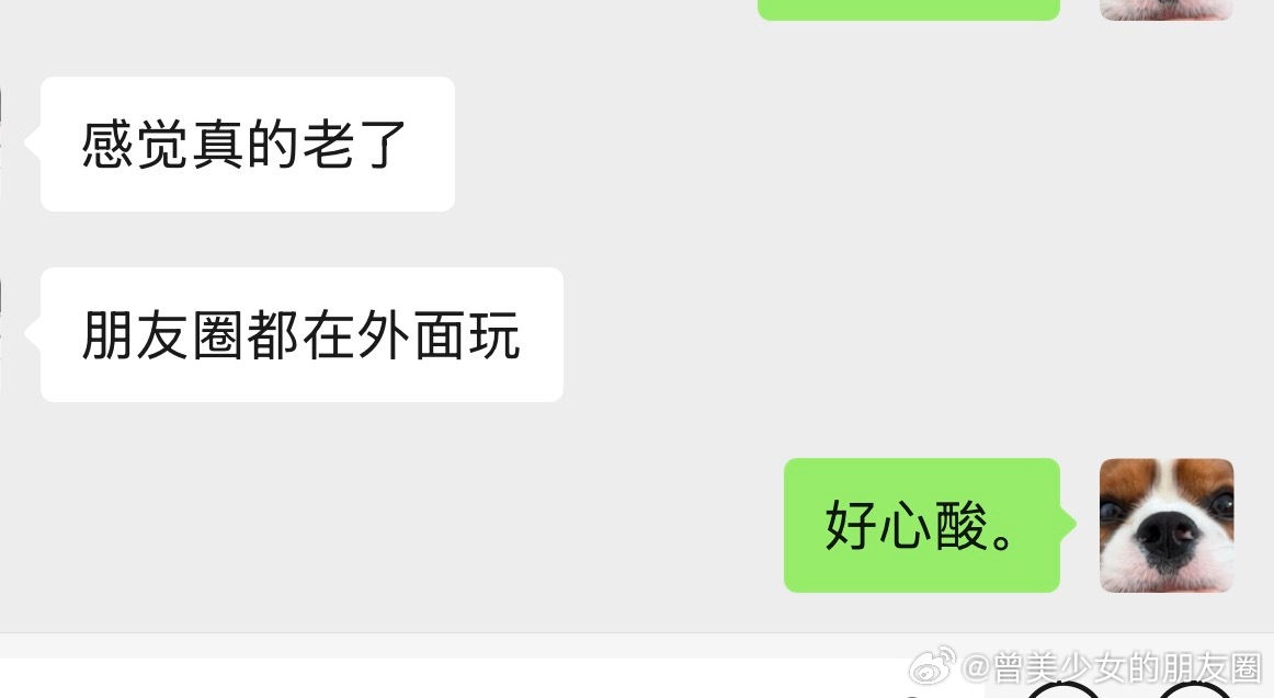 我不知道啥意思吧 