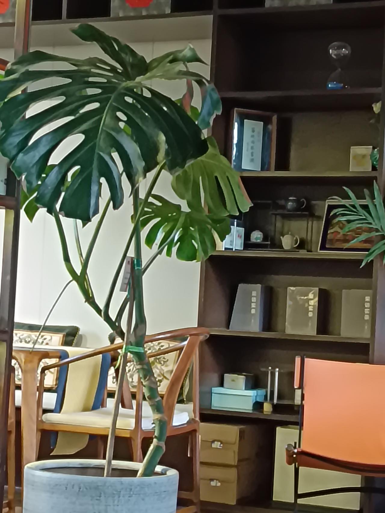 于我而言，值得深交之人，关键在于本心与品行。
他们心地醇厚，不盘算、不利用他人，