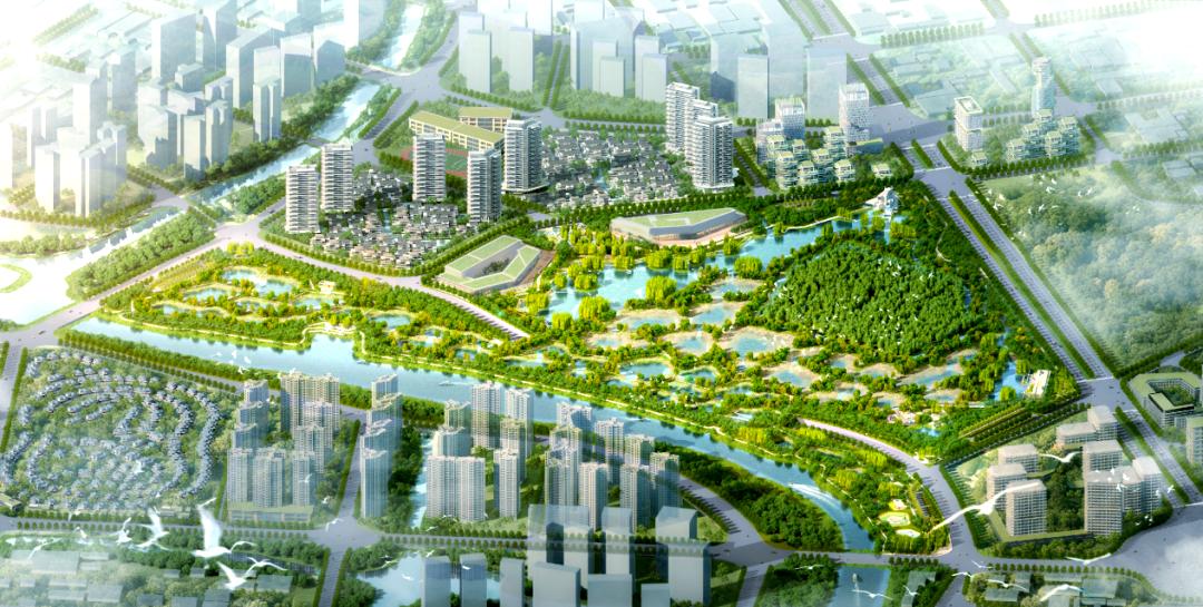 刷到顺德云鹭湿地公园的短视频时，瞬间被画面里的场景戳中 —— 清澈水面上鹭鸟成群