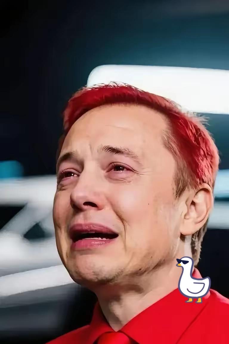 全球首例！
这下马斯克可能要倒霉了！
2月2日媒体报道，中国禁止电动汽车使用隐藏