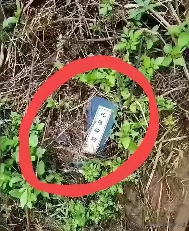 这是荒山野岭遗落的武林秘籍，
不知真假，
据说捡到后可以武功大进，
你信吗？#此