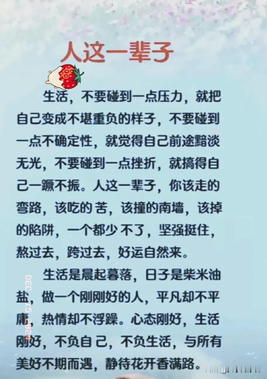 人生如逆旅，我亦是行人。