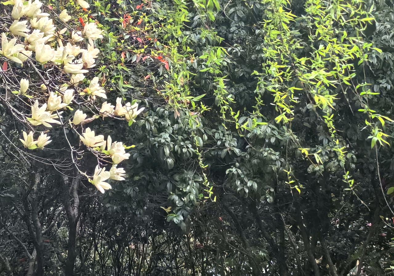 【热评】如果不剧本局，事情不可能发生
男子趁老婆上厕所间隙上台相亲被抓包

流量