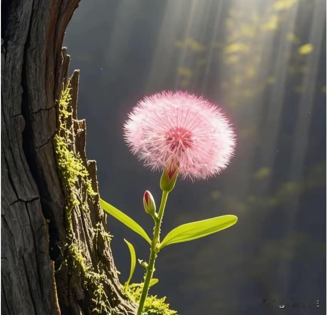郭律师说的中年女性尊严来源主要有以下三点，看你们实现了没？

1.公婆家人帮衬带