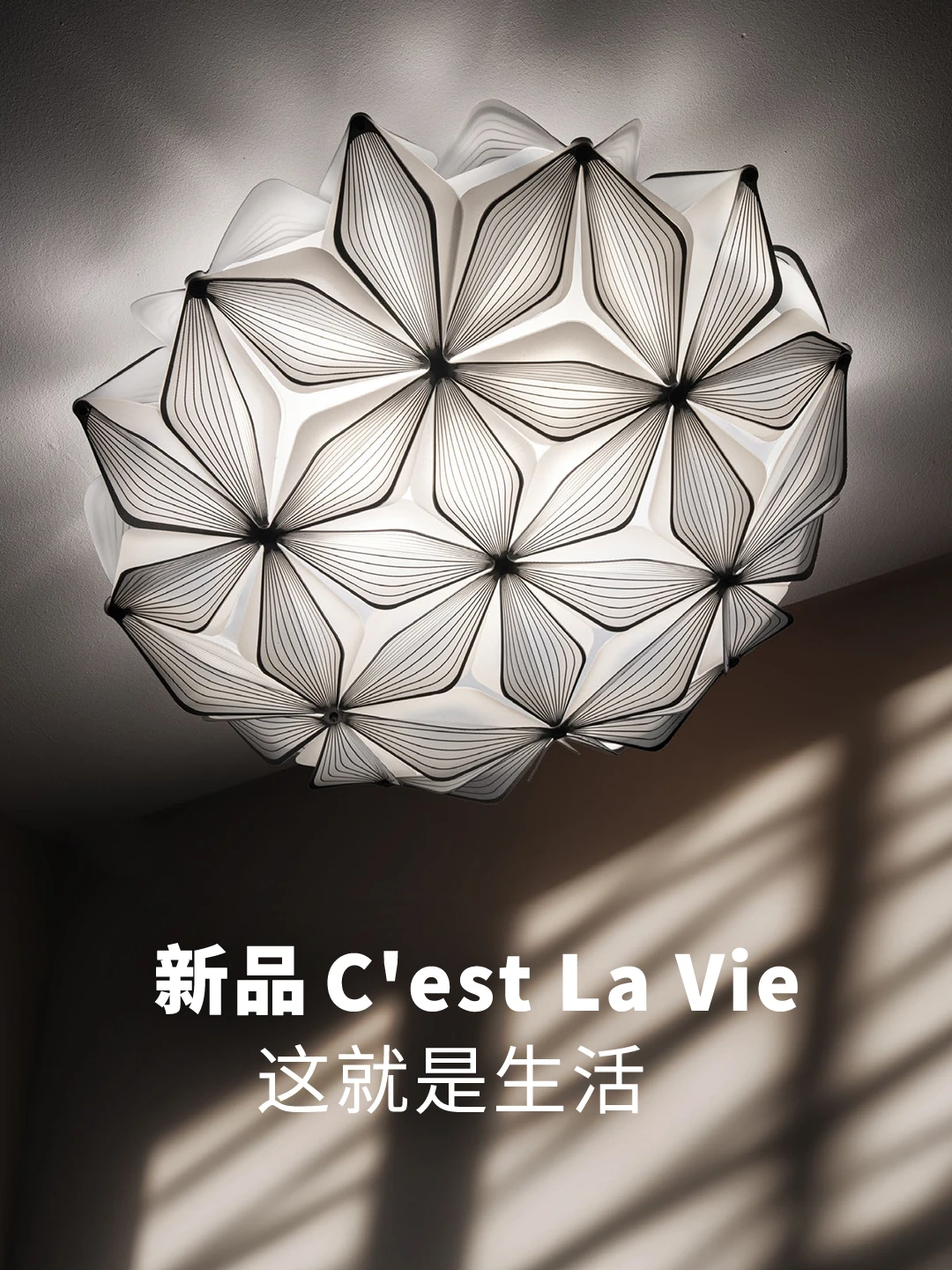 ✨2026最“飒”新品 |幸有一盏灯黑白分明