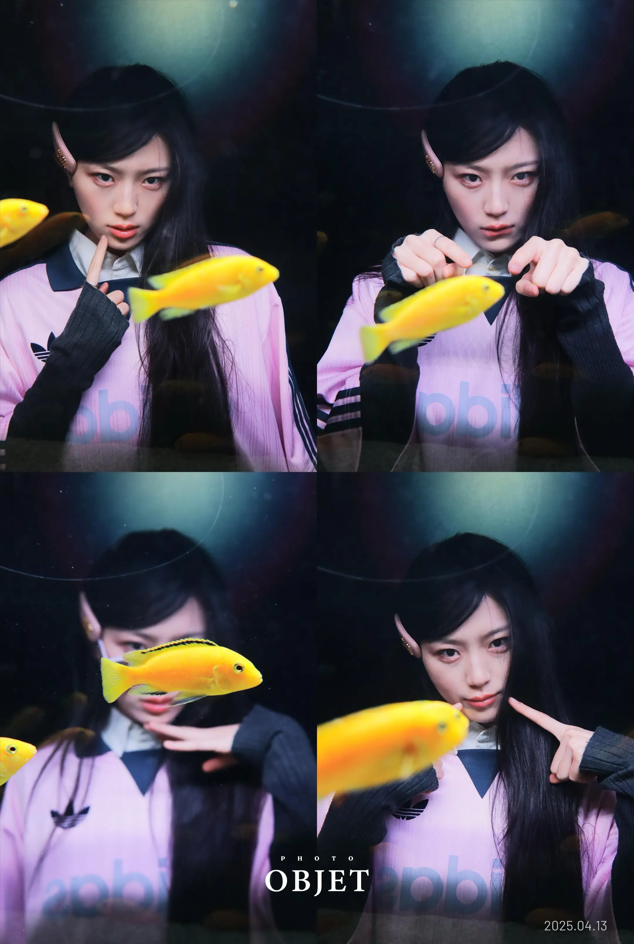 还有谁没拍圣水的金鱼人生四宫格！  ！