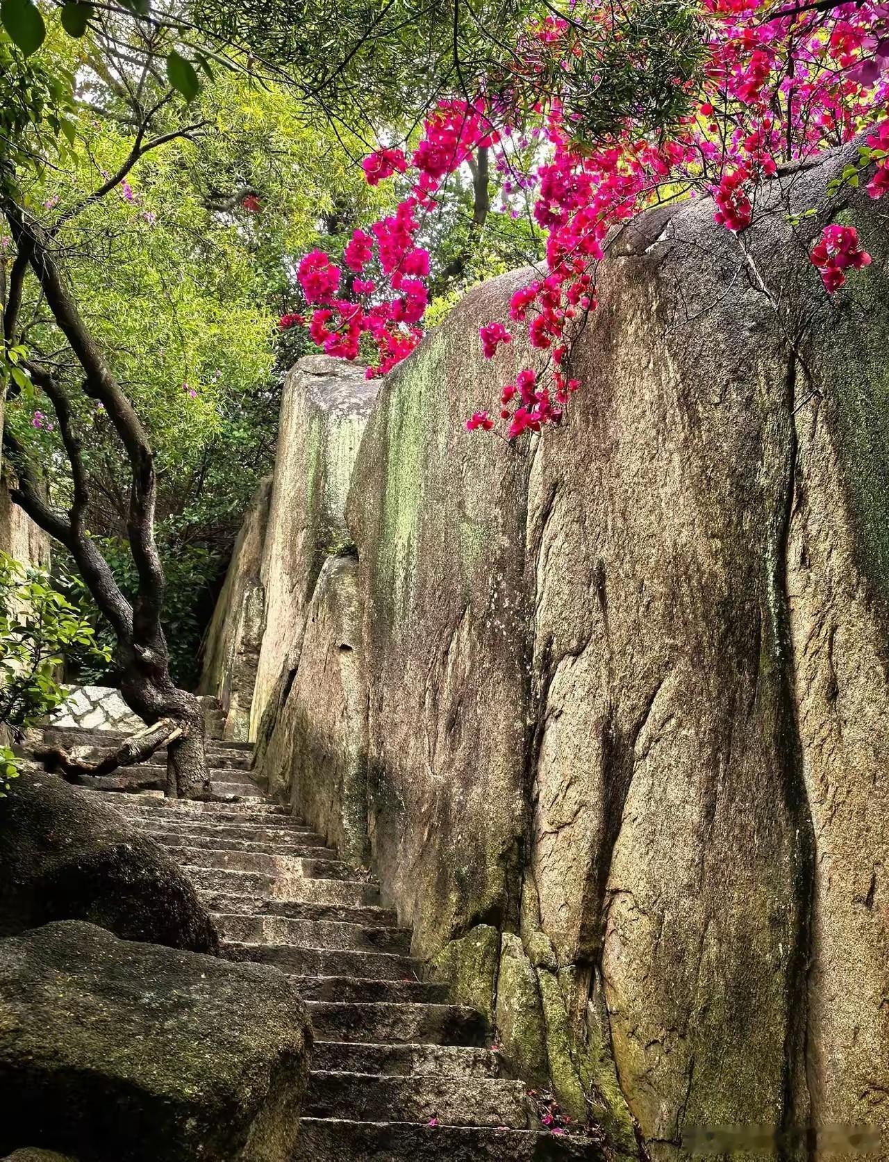 此处最清凉 福建厦门南普陀寺[祈祷] ​​​