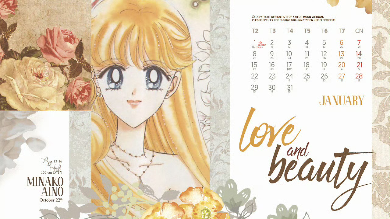 美少女战士 美战💫2018年日历🥀 