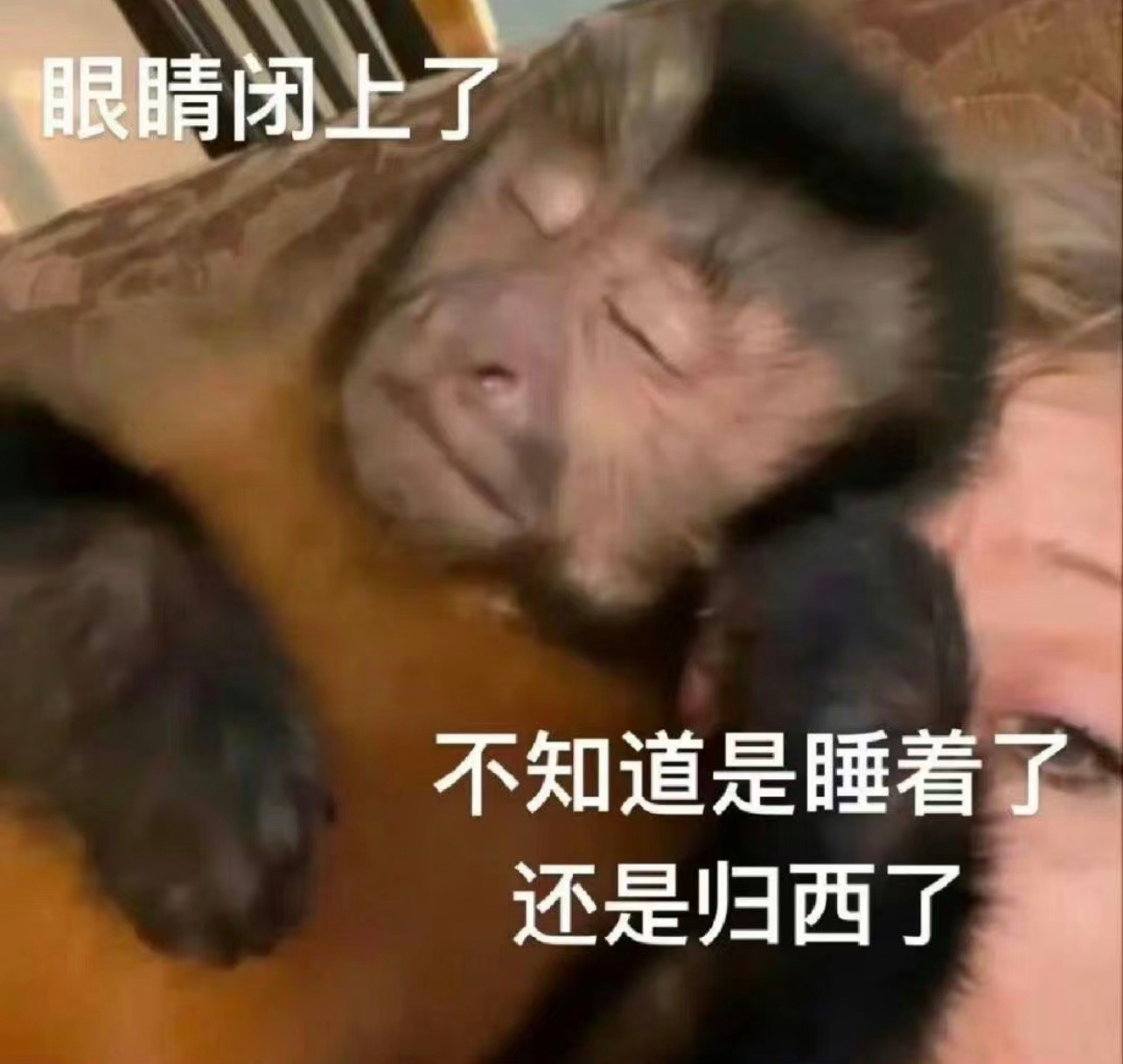 最近心情有点压抑其实，因为打开手机看到的都是一些令我很不适的阴间新闻，不小心看到