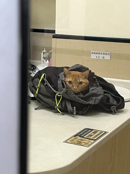 胰腺炎复查记🏥