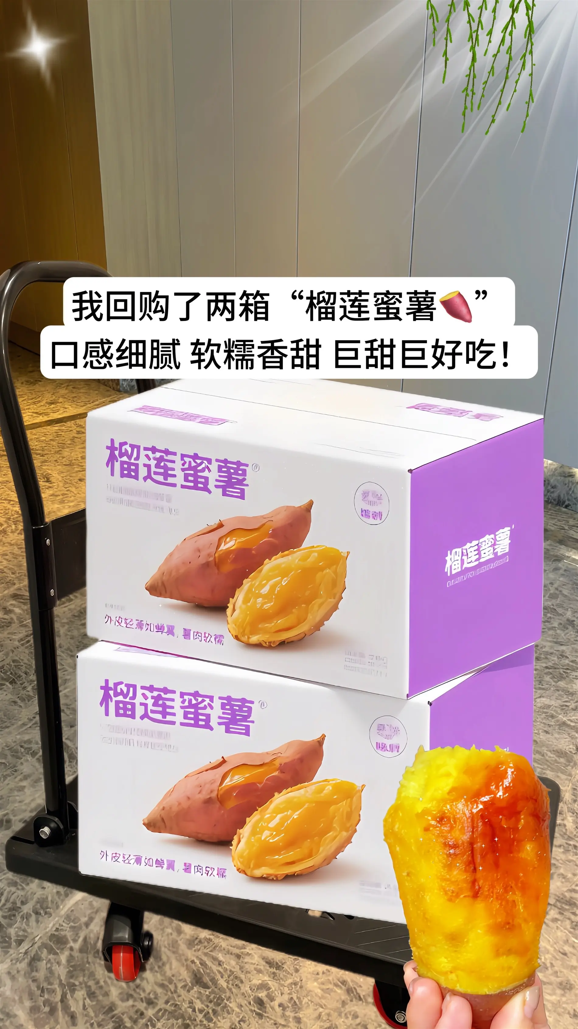 来自广西的榴莲蜜薯真的像榴莲一样的口感，你吃过吗？爱蜜薯的看过来，这个...
