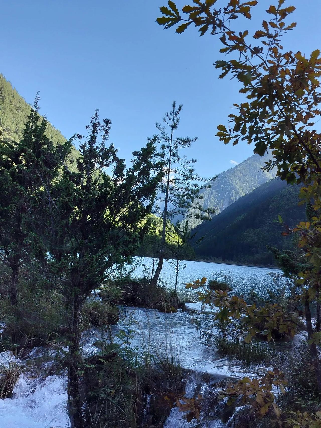 冬日生活打卡季加油