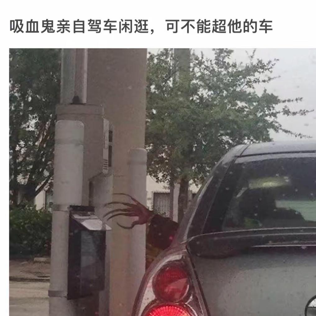 吸血鬼自驾游，小心超车！🧛‍♂️🚗