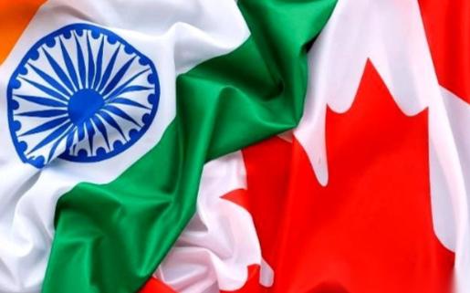 加拿大超过一百万印度人的合法身份正逐步清零，他们没有选择买张机票返回故土，而是在