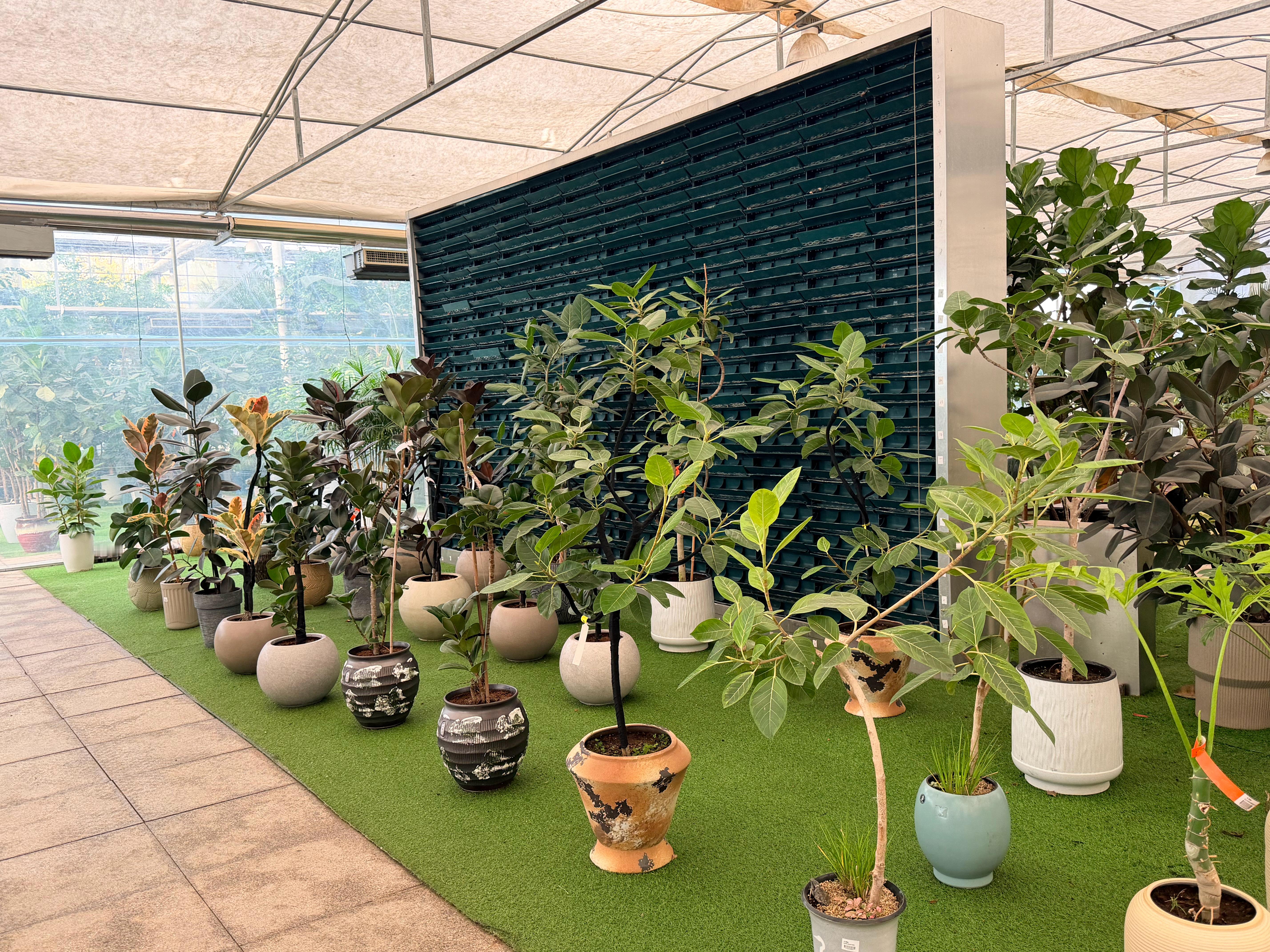 我滴妈呀！这里面东西真多啊！给我挑花眼了……