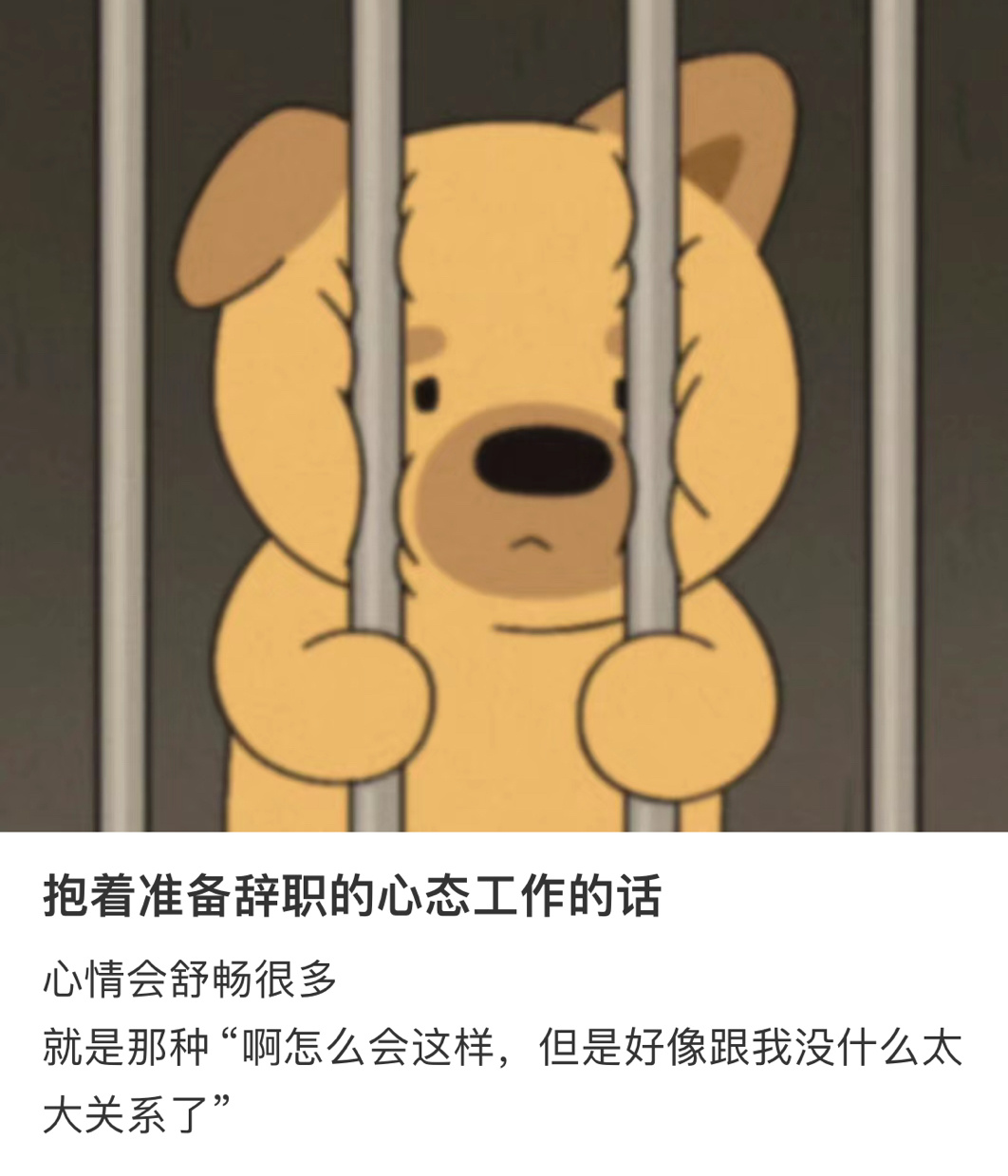 抱着准备离职的心态工作会舒畅很多 ​​​