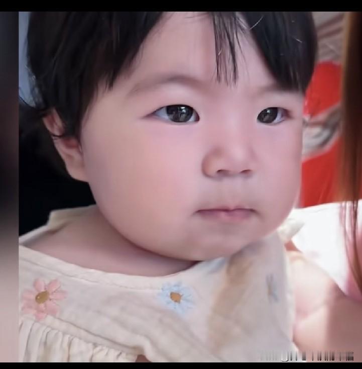 这三个孩子最喜欢小俞儿，哥哥不和她玩，又生气又不屑的样子太萌了，浓密乌黑的头发，